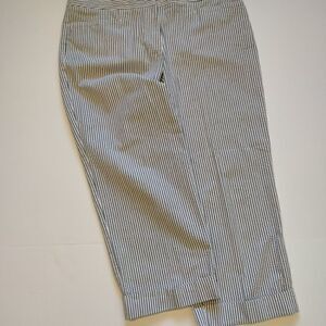 Plus Size Liz Claiborne / Audra Capris